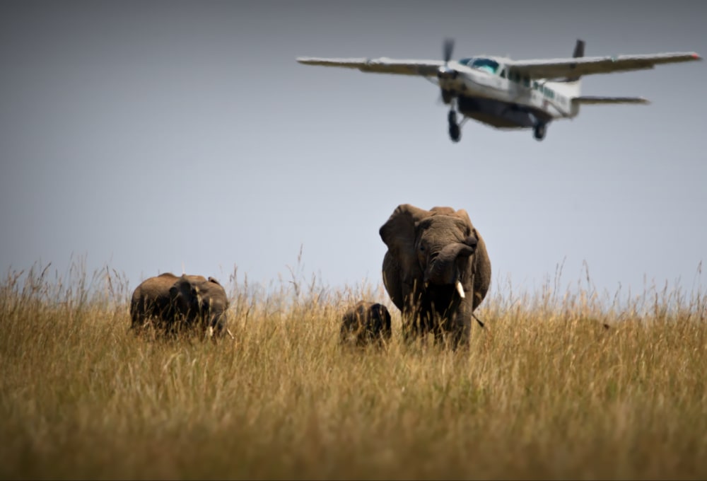 Take-Off an den Strand